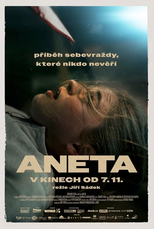 Aneta 2D