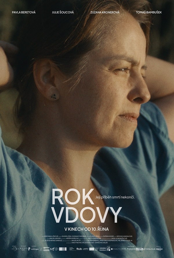 Rok vdovy poster