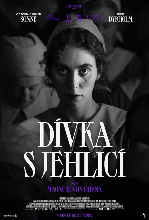 Dívka s jehlicí poster